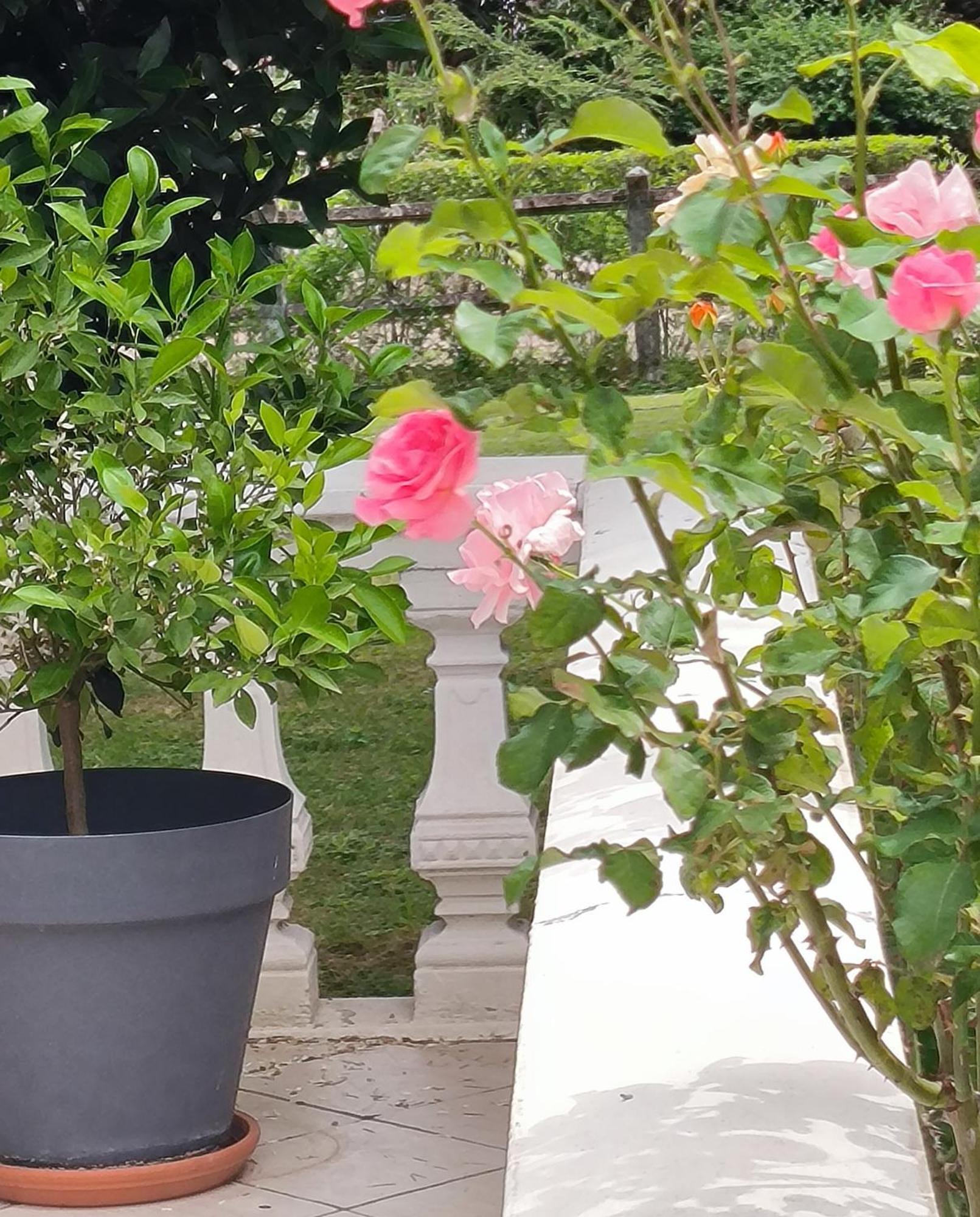 Apartamento La Fruitiere Chaudenay Exterior foto